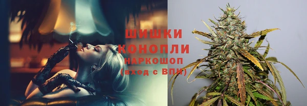 ГАЛЛЮЦИНОГЕННЫЕ ГРИБЫ Алзамай