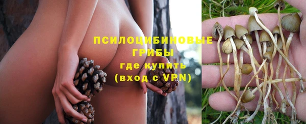 spice Алексеевка