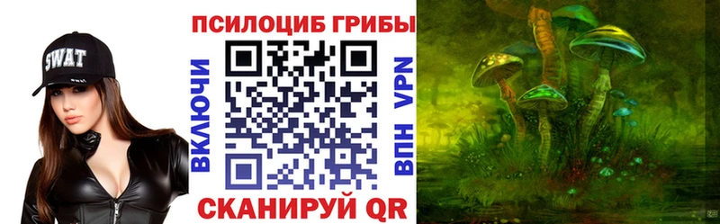 Галлюциногенные грибы мицелий  Рошаль 