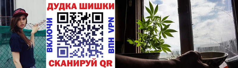 Бошки марихуана сатива  Рошаль 
